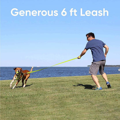Solid 6 Ft Green Dog Leash XS/S Custom Name and Phone Embroidery Strong Nylon Leash for Small Breeds